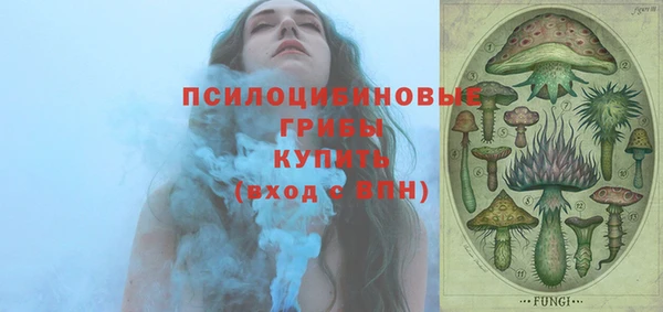 эйфоретик Богданович