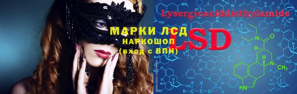 a pvp Белокуриха