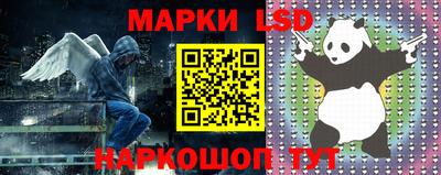 дживик Сланцы