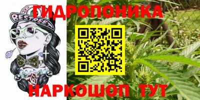 mdma Славгород