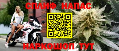 герыч Славянск-на-Кубани