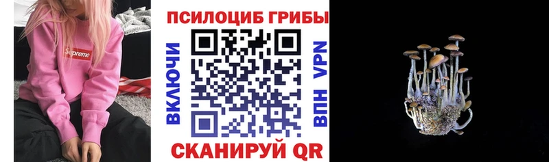 Галлюциногенные грибы Cubensis  Саяногорск 